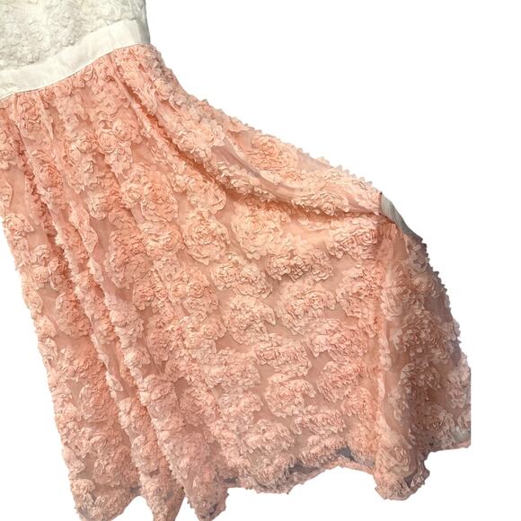 Adrianna Papell 6 Strapless Floral Applique Gown $489 Corset Dress Pink White - Picture 3 of 16